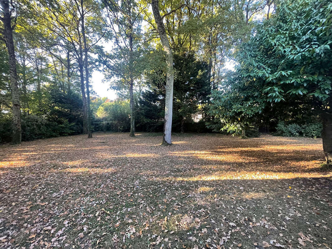 Maison à BASSE-GOULAINE