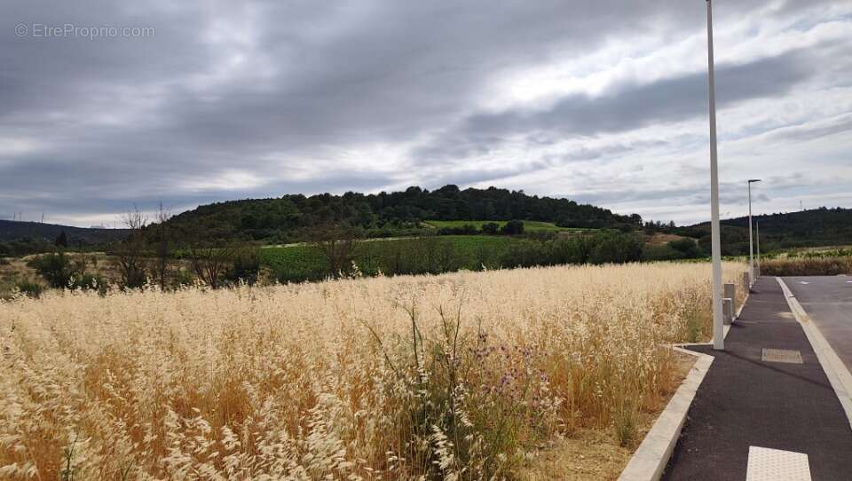 Terrain 440 m² à Portel-Des-Corbieres  - photo 3