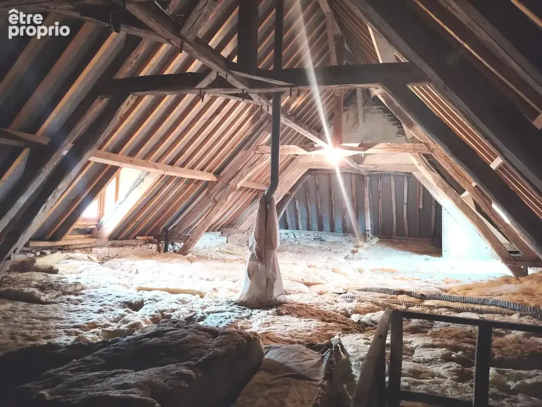 entre TROYES et AUXERRE - Maison d'exception et de caractère - photo 15