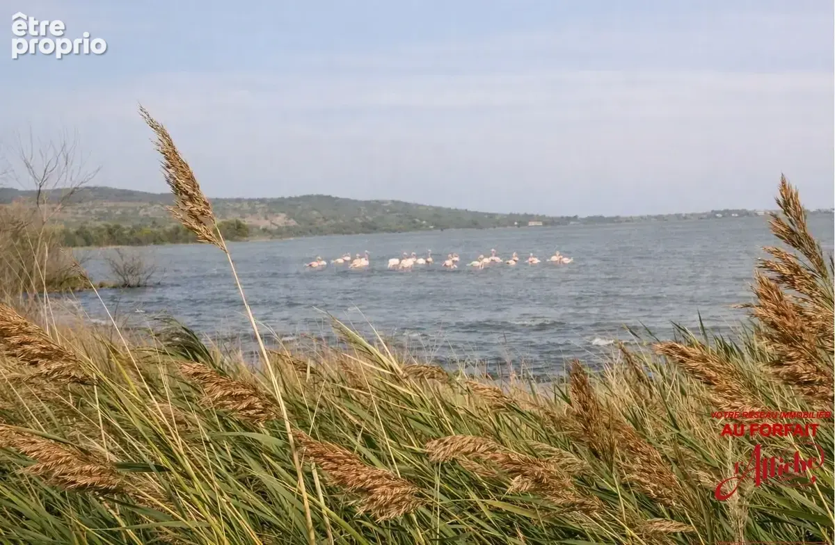 Exceptionnel: maison de pêcheur en bord d'étang - photo 2