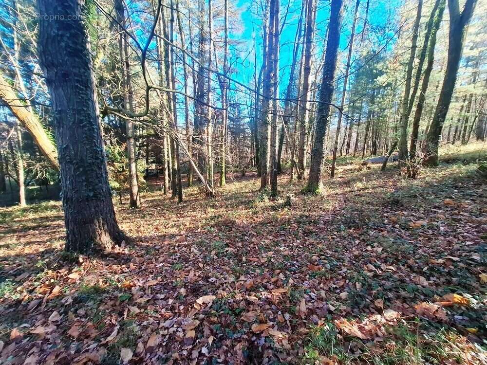 Maison à SAINT-MICHEL