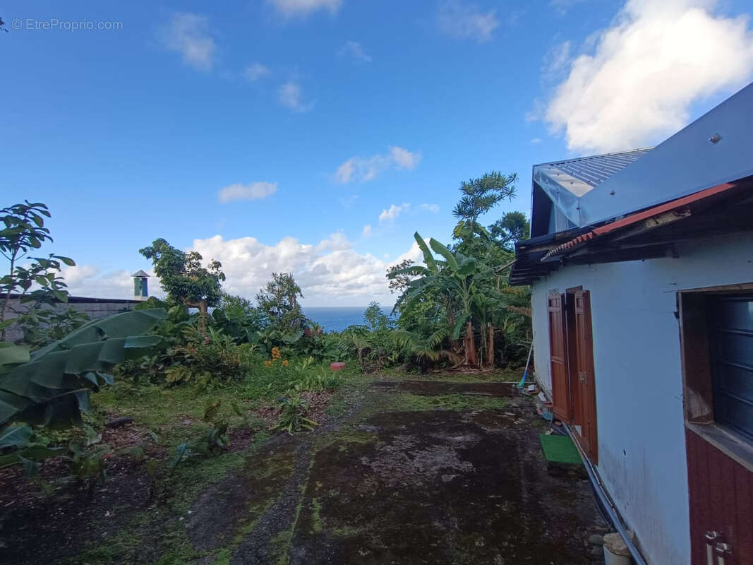 Maison à SAINTE-ROSE