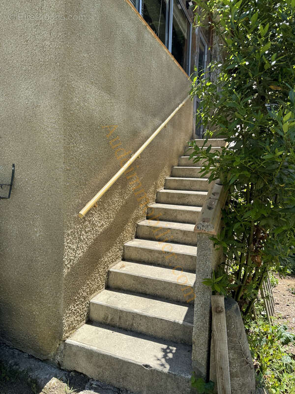 Maison avec jardin de 3500m2 environ - photo 11