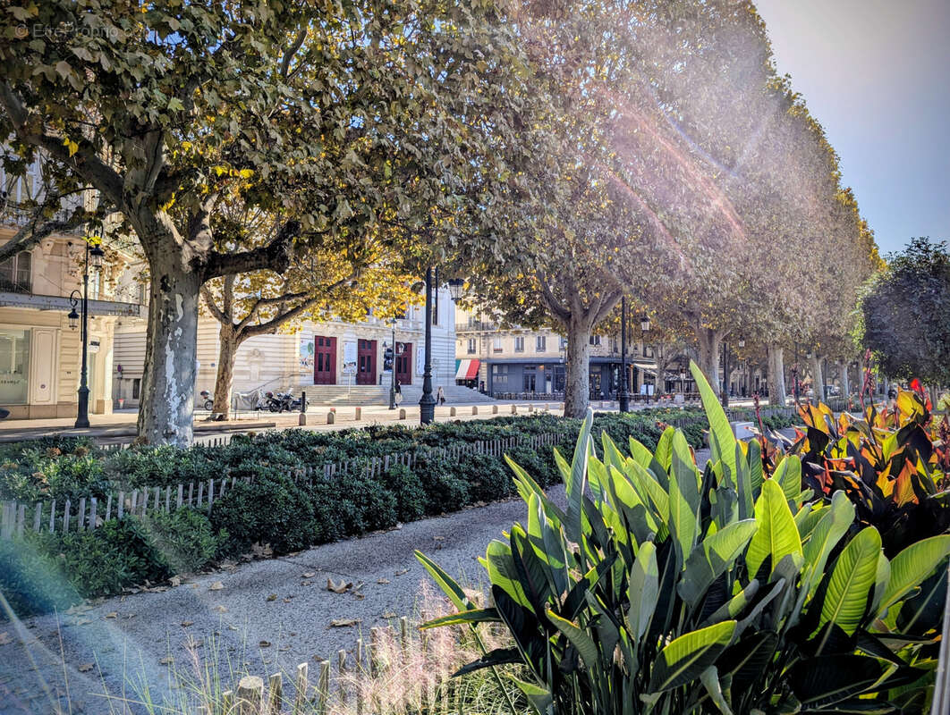 Commerce à SETE