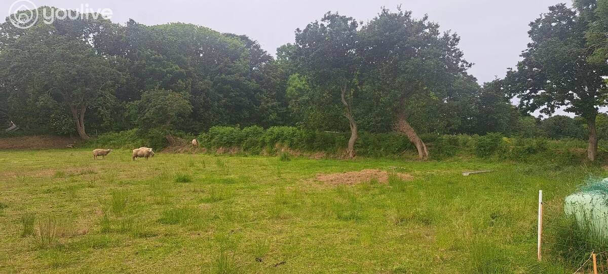 Terrain à LE CONQUET