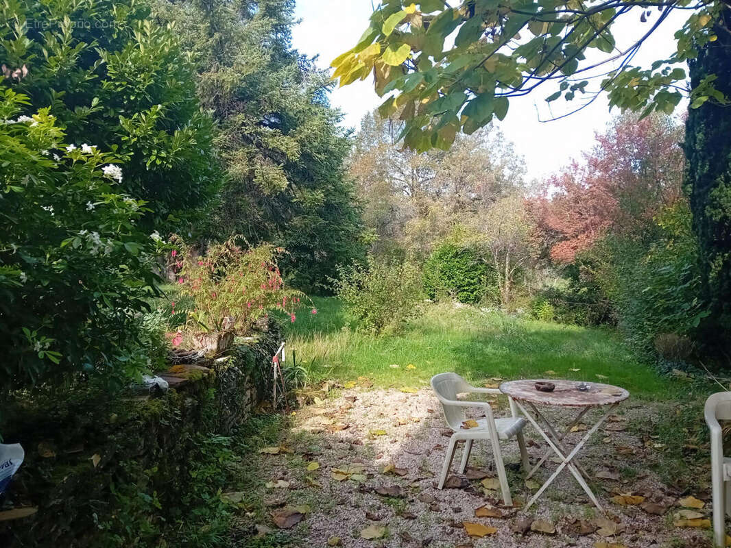 jardin 