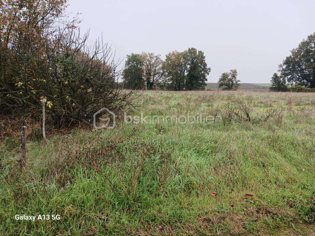 Terrain à DOUSSAY
