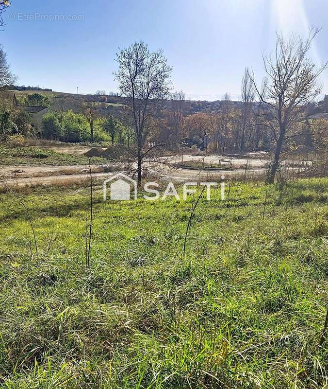 Terrain 1564 m² à Clermont-Le-Fort  - photo 3