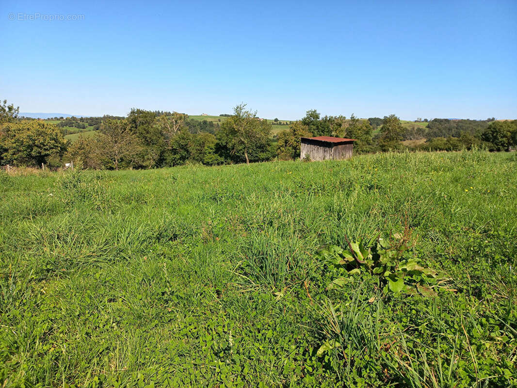 Terrain à VIRIGNEUX
