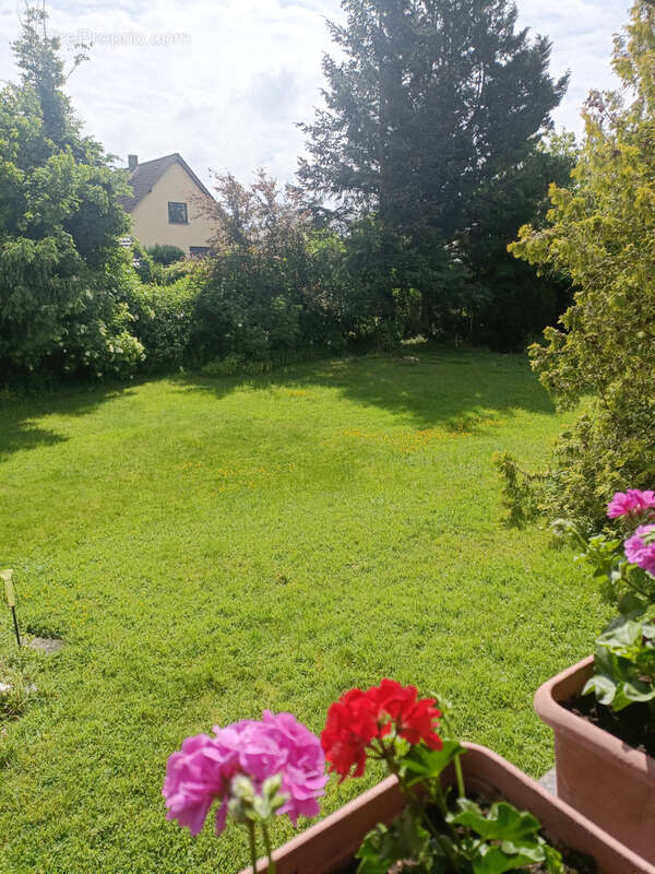 Maison à SAUSHEIM
