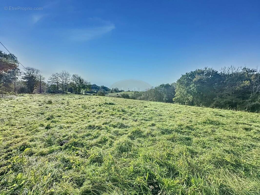 Terrain à LANESPEDE