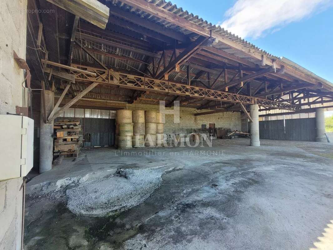 Commerce à MAZEROLLES