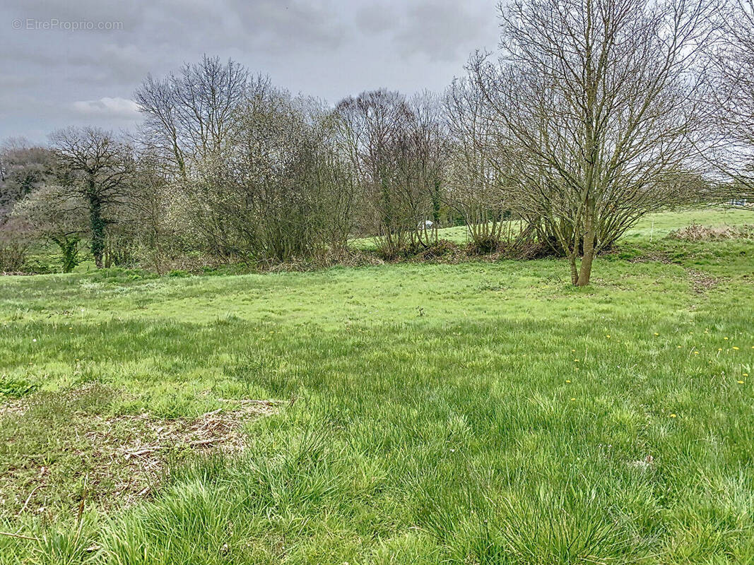 Terrain à LA MEAUGON