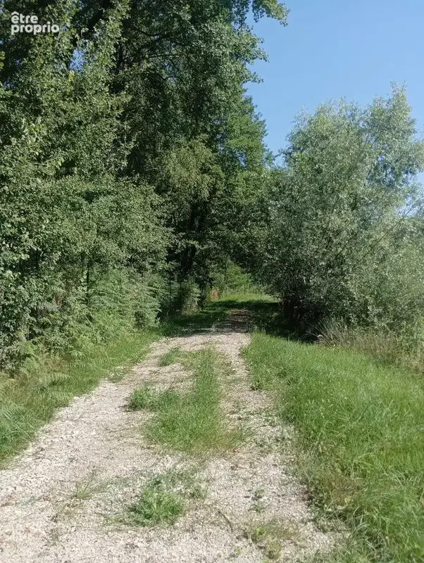Vente étang de 11 ha environ sur terrain de 14 ha environ AILLONCOURT (70) - photo 12