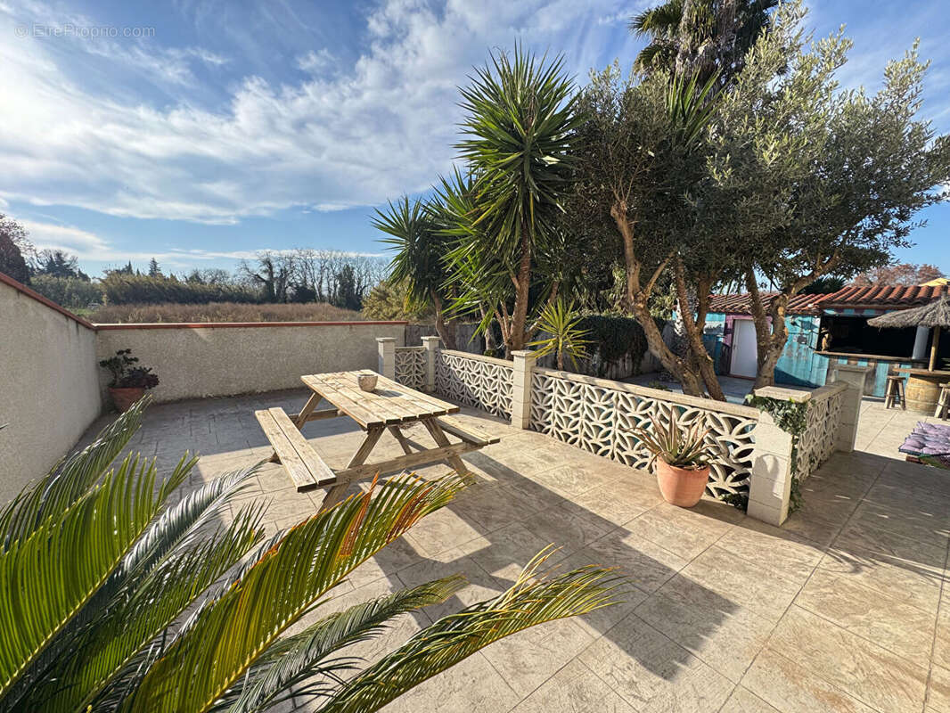 Maison à VILLELONGUE-DE-LA-SALANQUE