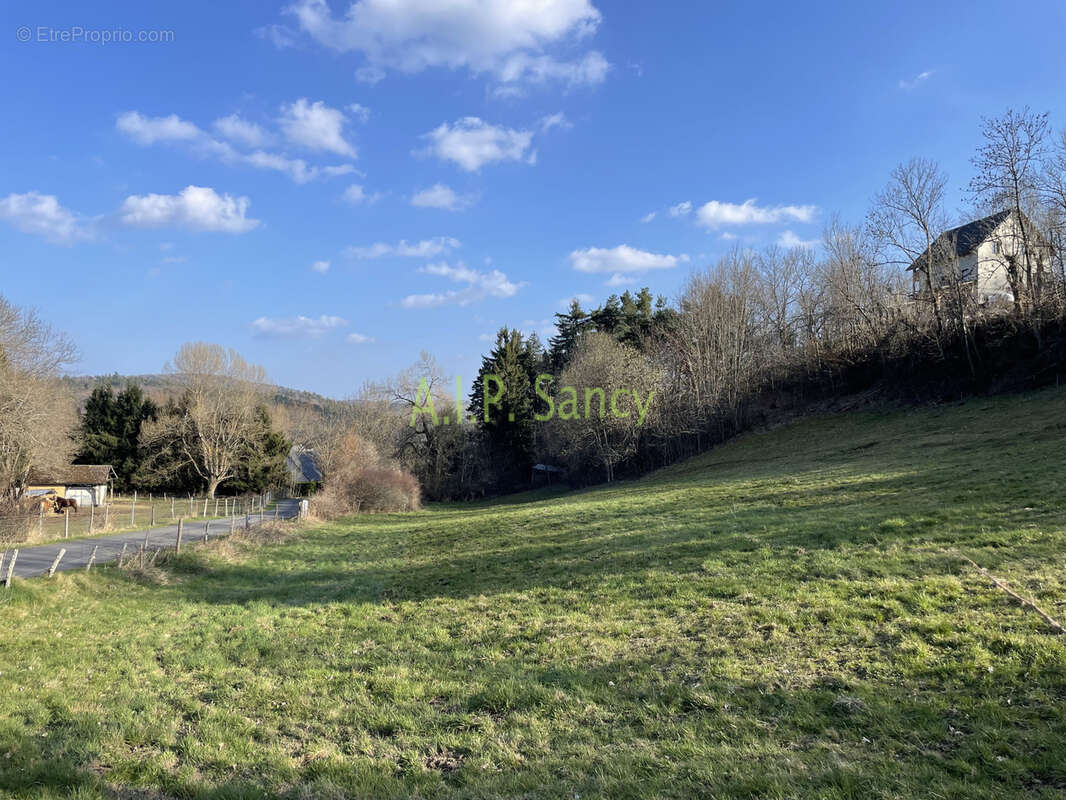Terrain à CHAMBON-SUR-LAC