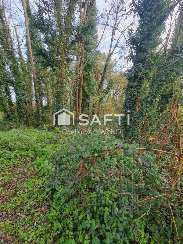 Photo 1 - Terrain à SAINT-MEDARD-EN-JALLES