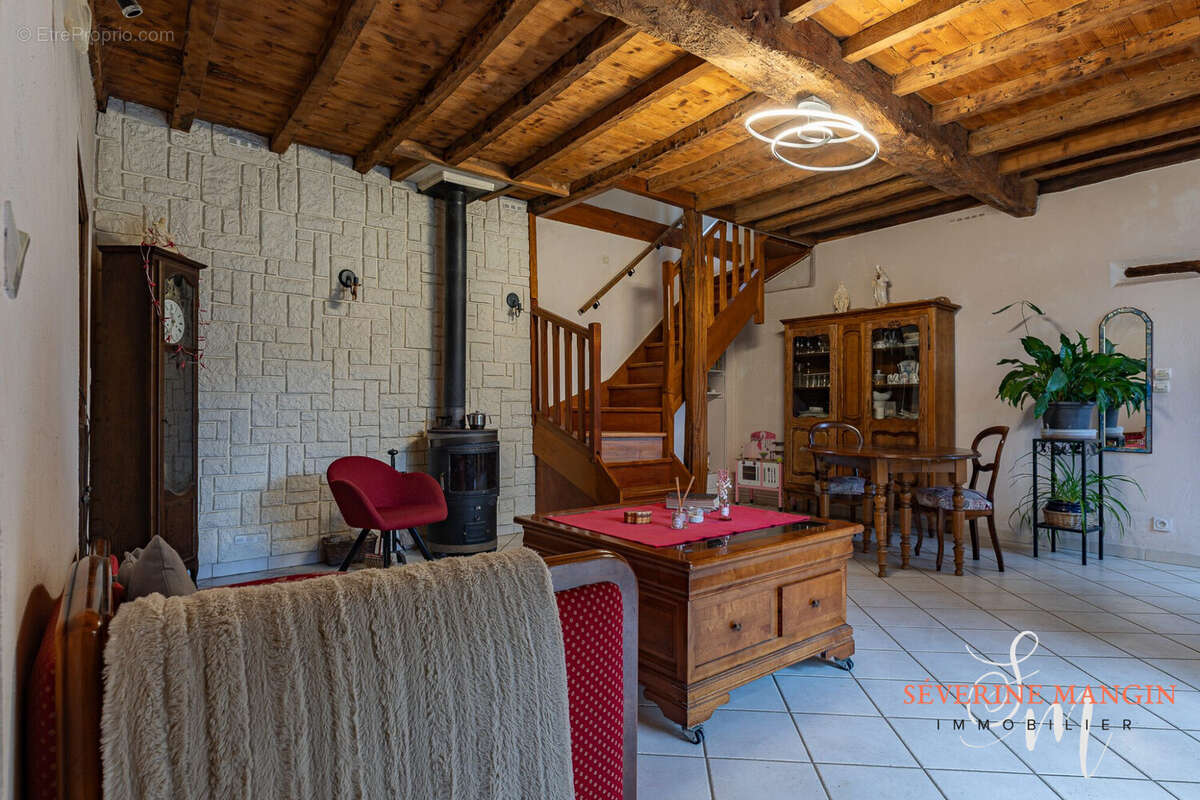 salon - Maison à CHATUZANGE-LE-GOUBET