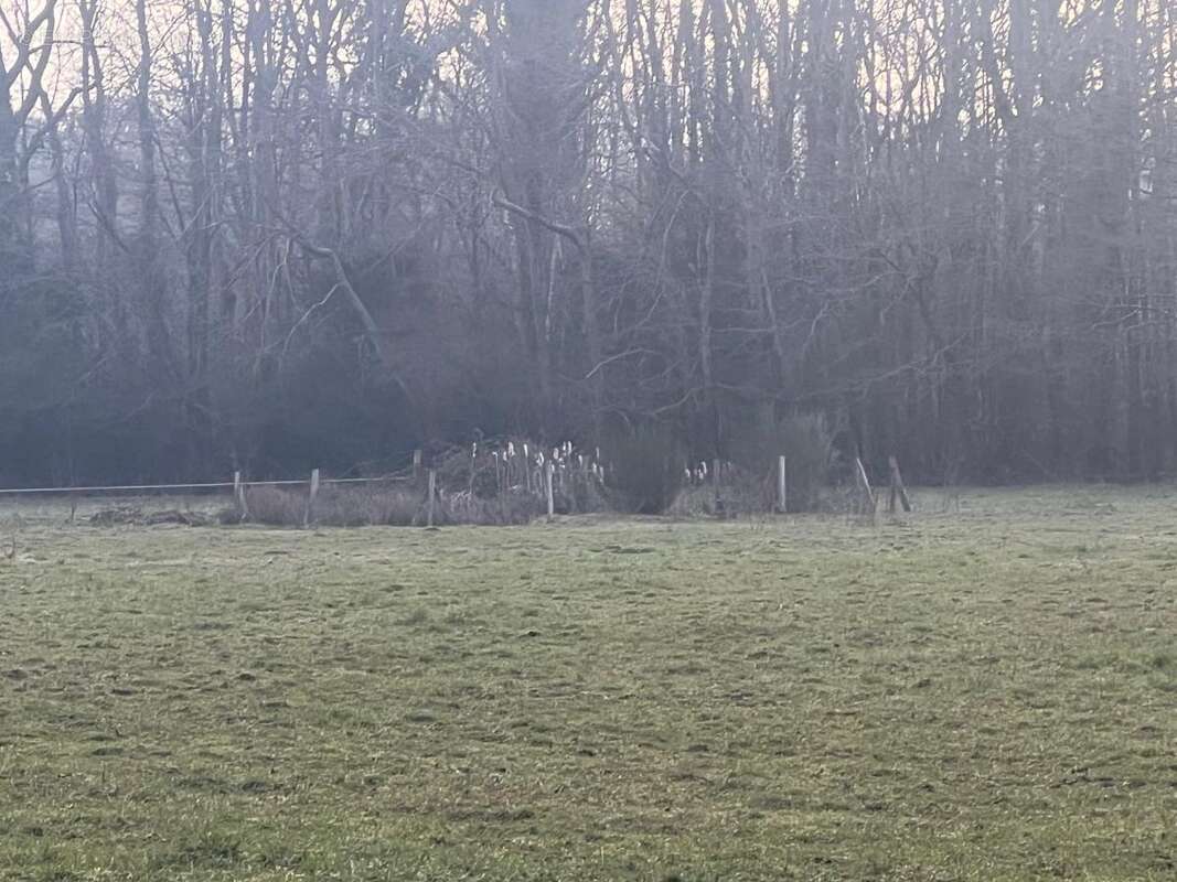 Terrain à COURTONNE-LA-MEURDRAC