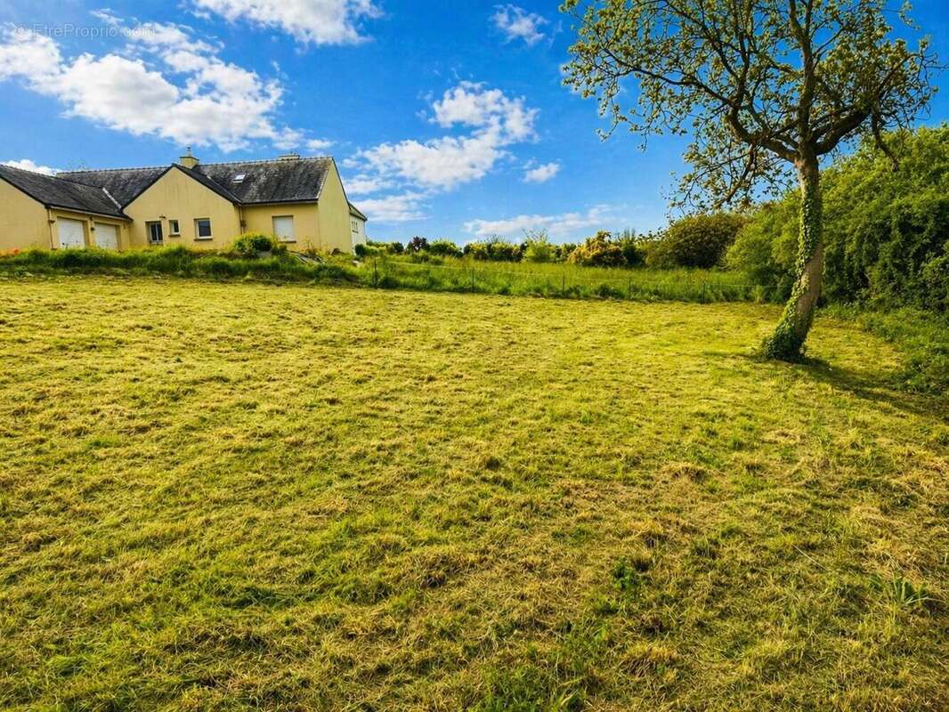 Photo 3 - Terrain à PLOUGOULM