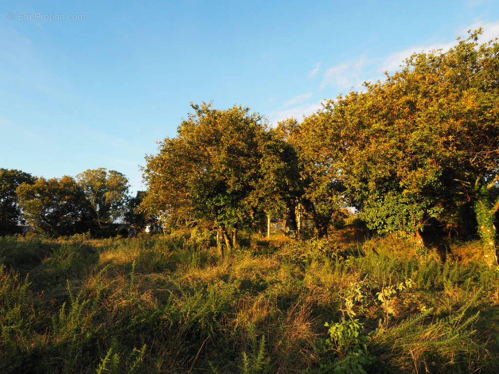Terrain à CONCARNEAU