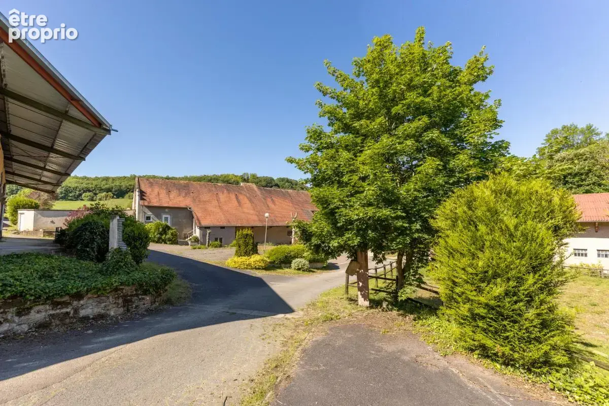 Domaine equestre - boxes-manege-carriere-appartement - photo 8