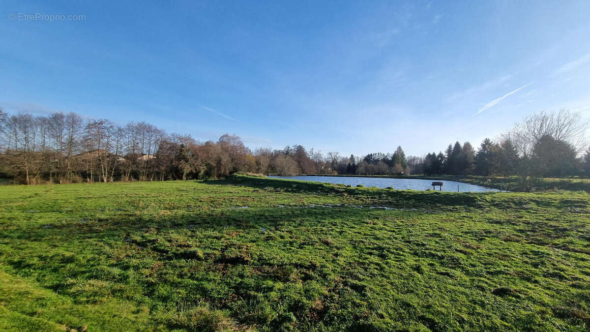 20251218_152306 - Maison à PIEGUT-PLUVIERS