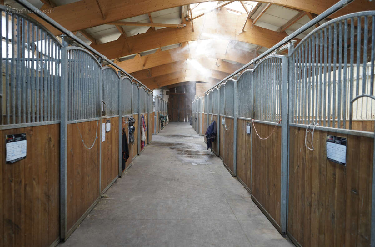 Haras du mas de meyrie - photo 5