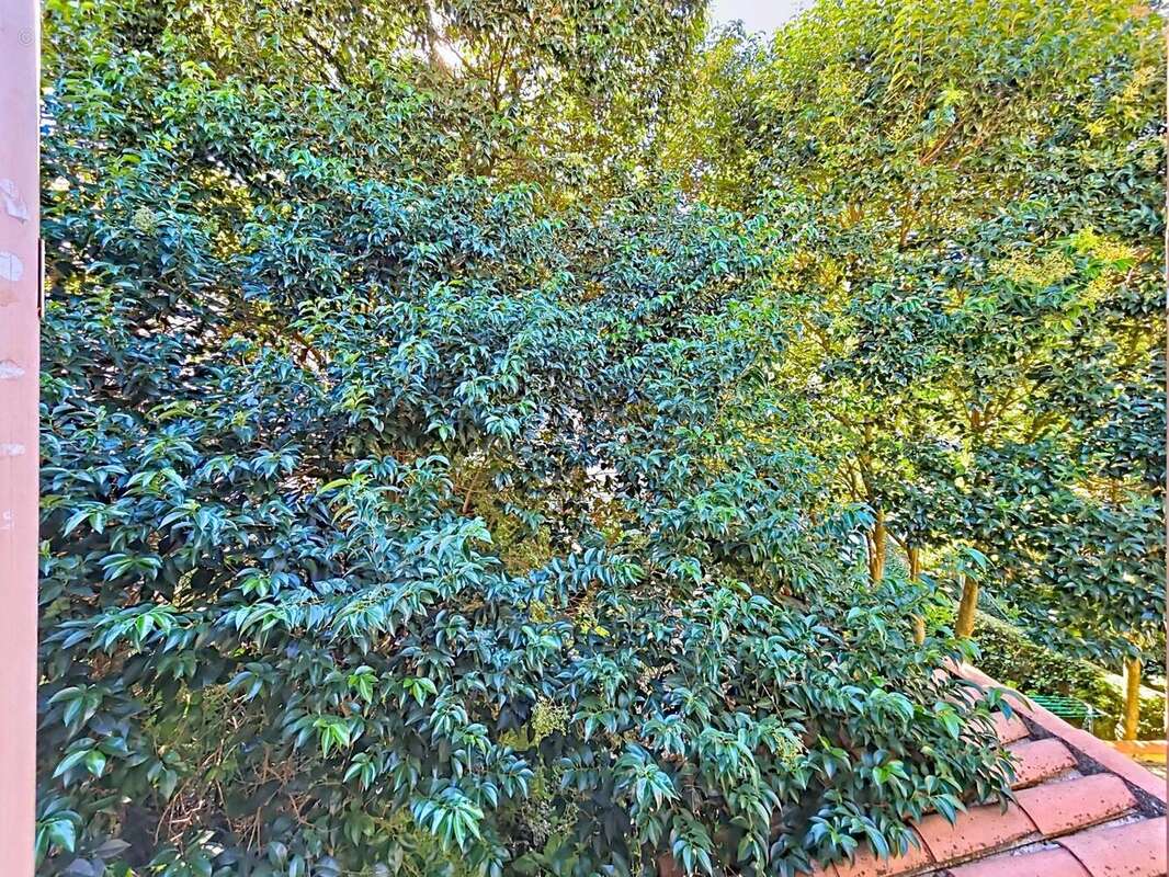 Photo 3 - Appartement à BEDARIEUX