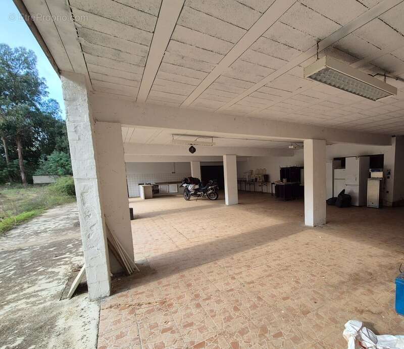  À VENDRE – Terrain de loisirs 4 hectares en bord de plan d’eau – Proche Propriano (Sud Corse) - photo 2