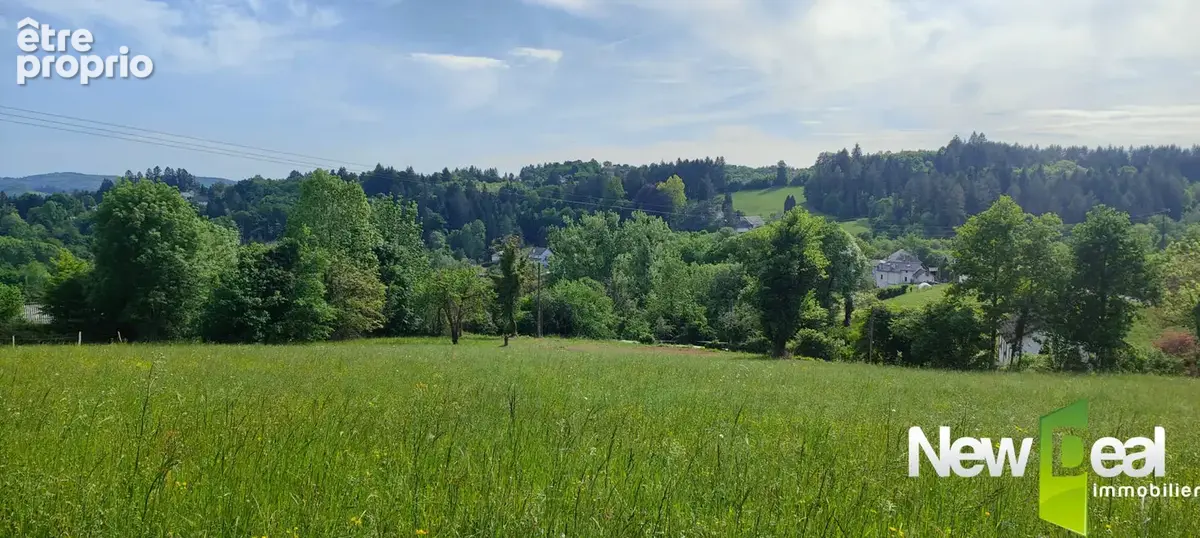 Superbe terrain de 2.500 m² à Tulle - photo 3