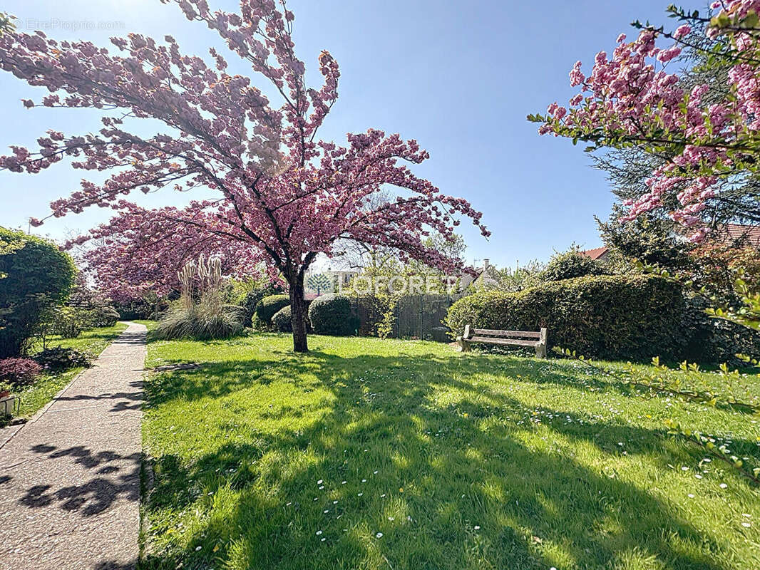 Appartement à FRESNES