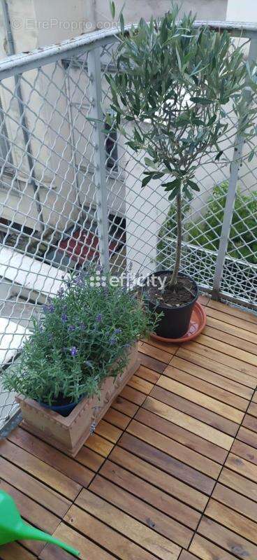 Appartement - photo 14