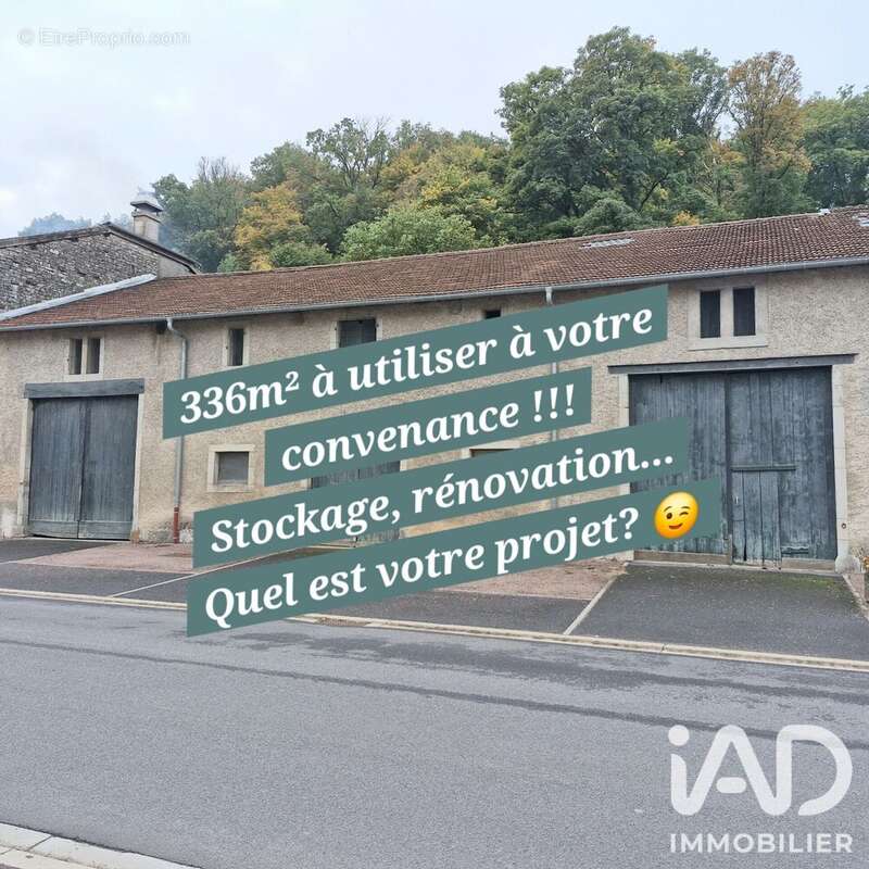 Maison 336 m² à Baudignecourt  - photo 3