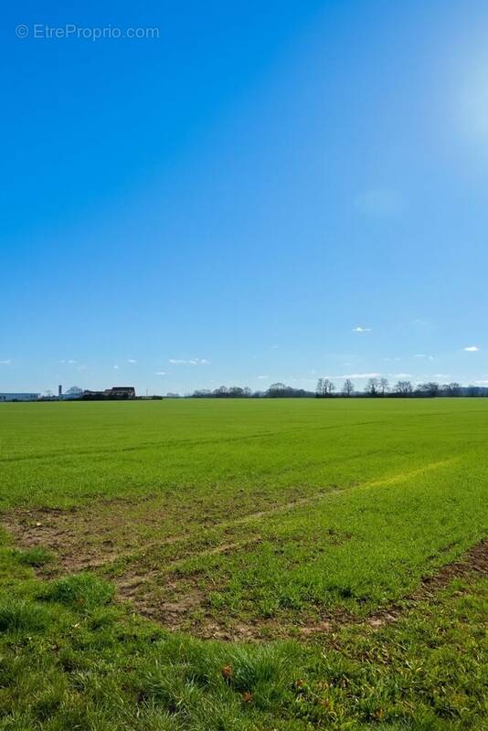 Terrain à VILLIERS-EN-BIERE