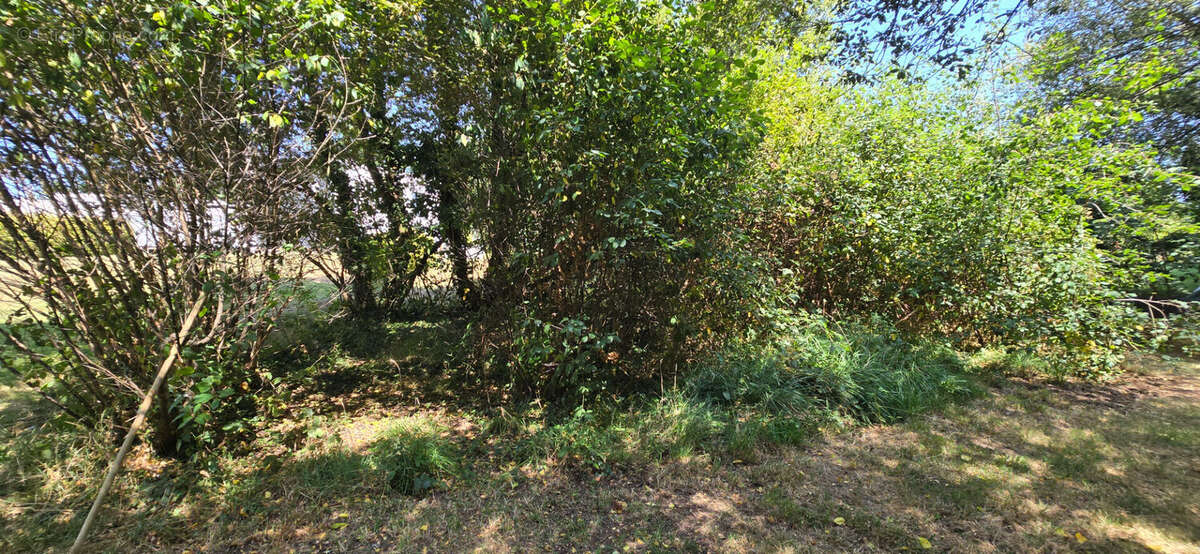 Combrit, joli terrain à bâtir de 1 000 m², bourg à pied, plage à vélo ! - photo 5
