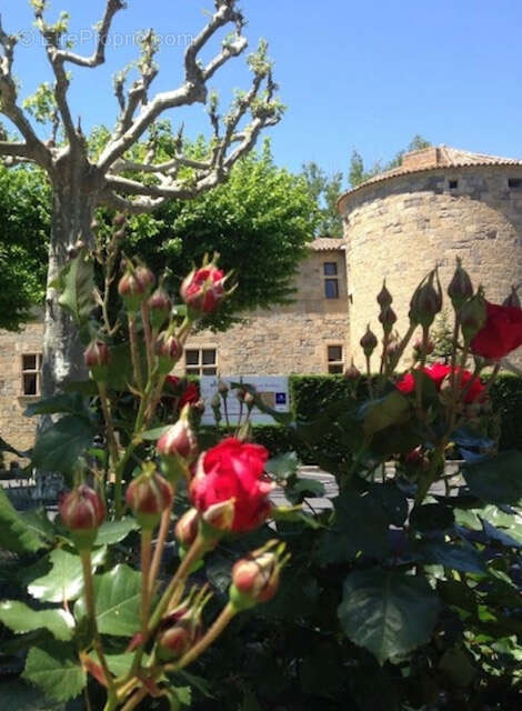 Maison à CARCASSONNE