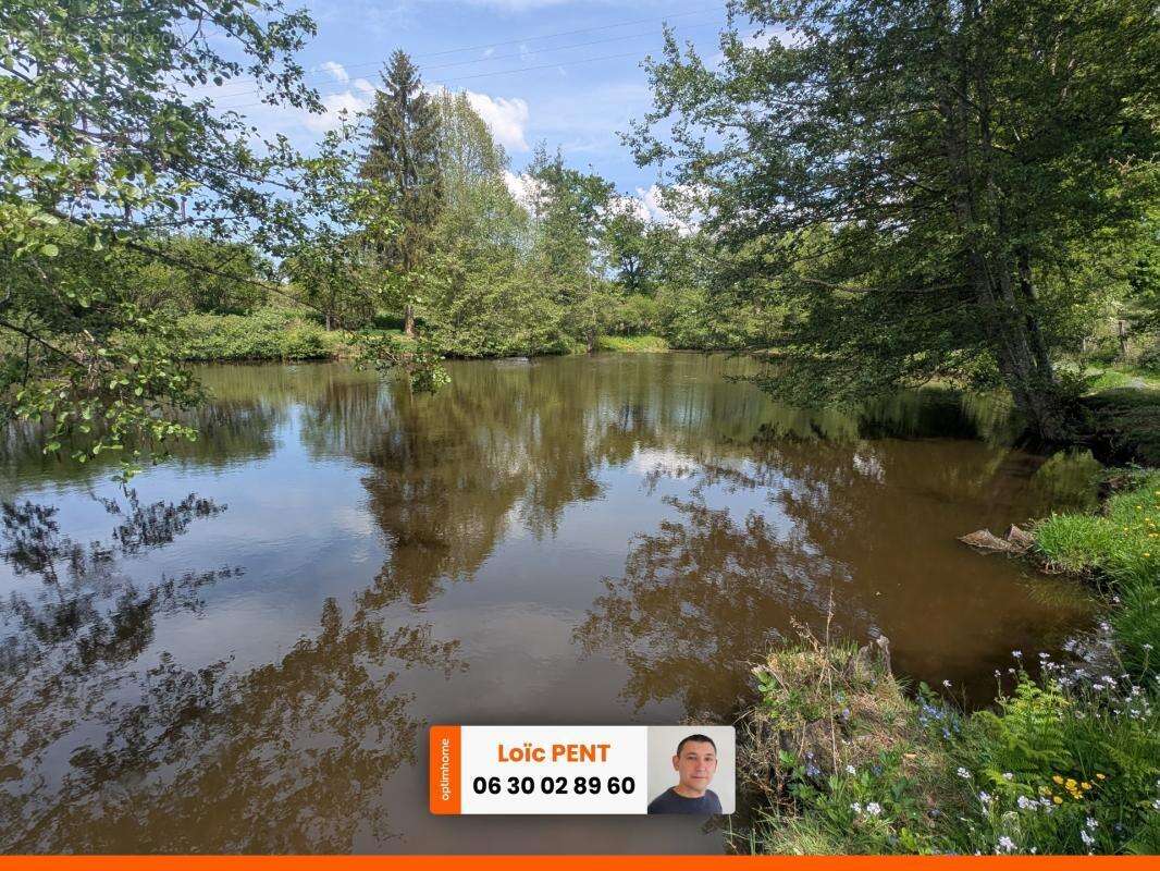 Etang à vendre sur un terrain de 26 033,00 m² LE MAYET DE MONTAGNE (03250) - photo 10