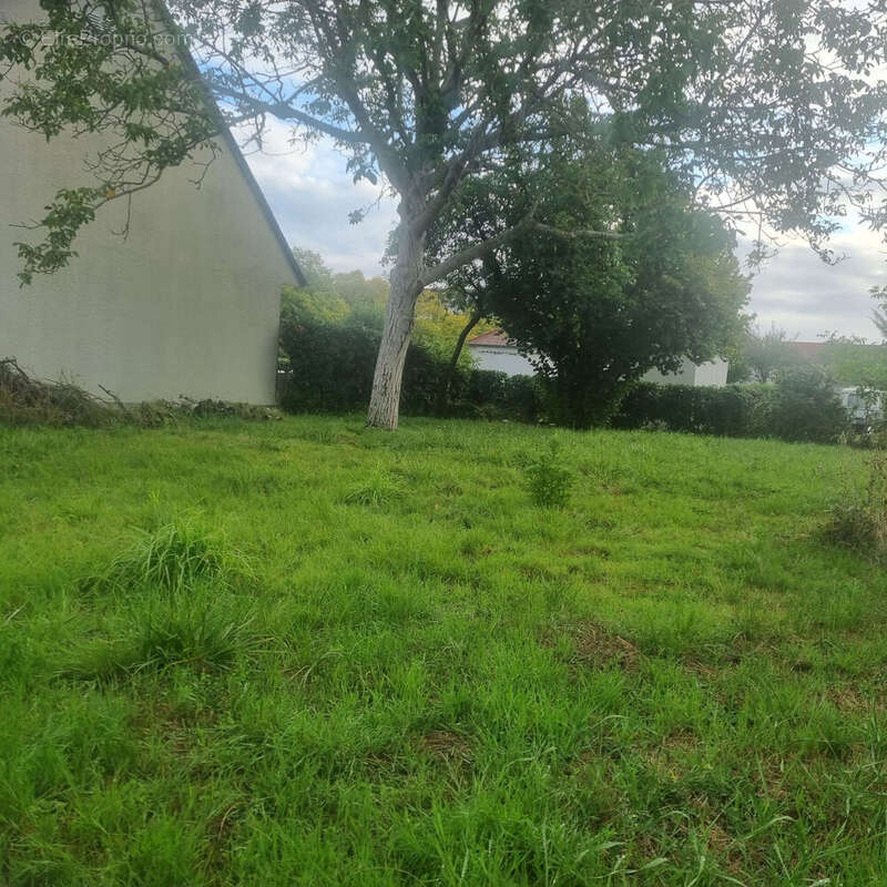 Photo 3 - Terrain à TOURS