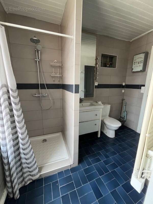 Maison à vendre 7 pièces CASTELJALOUX (47) - photo 10