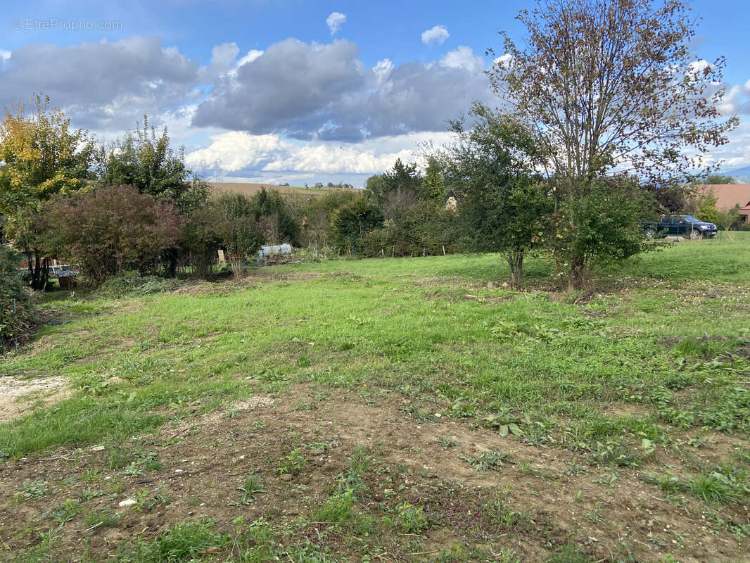 Terrain à HELFRANTZKIRCH
