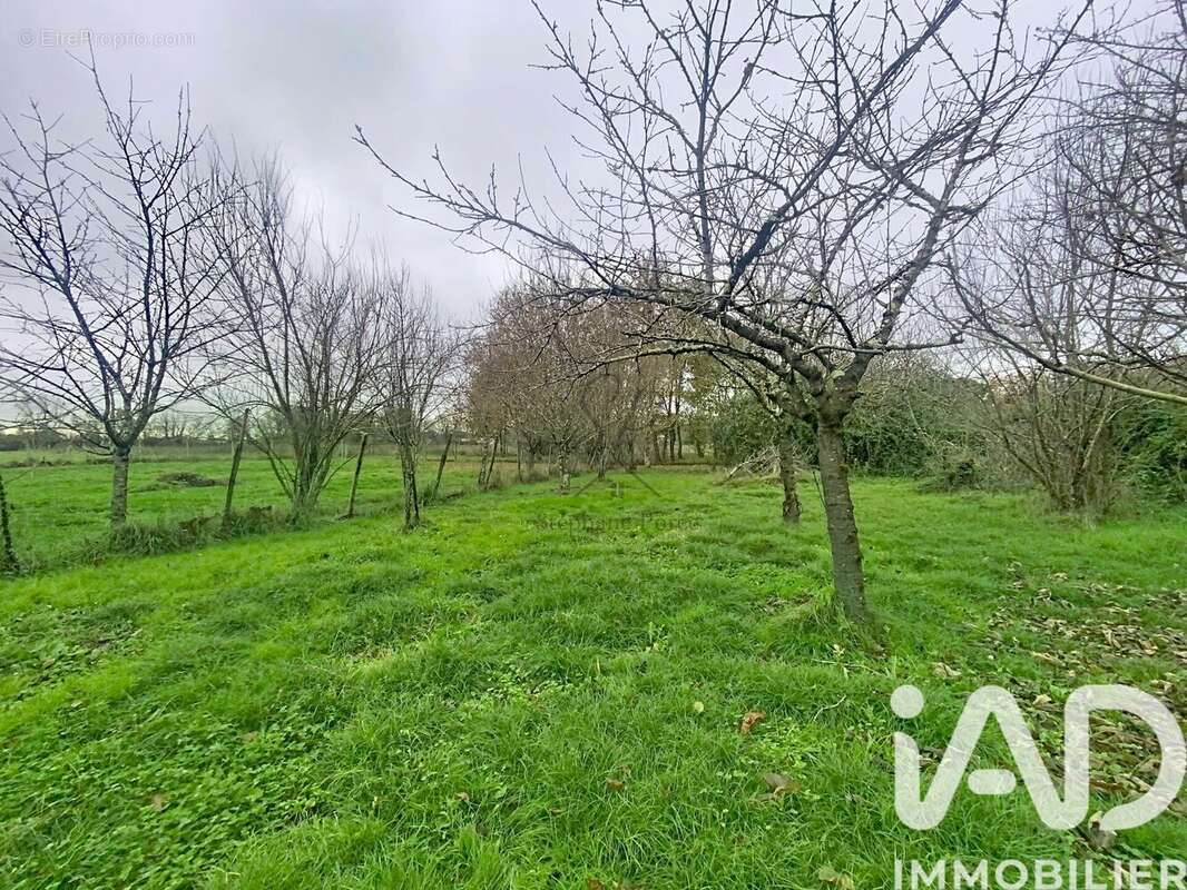 Photo 9 - Terrain à ALBIAS