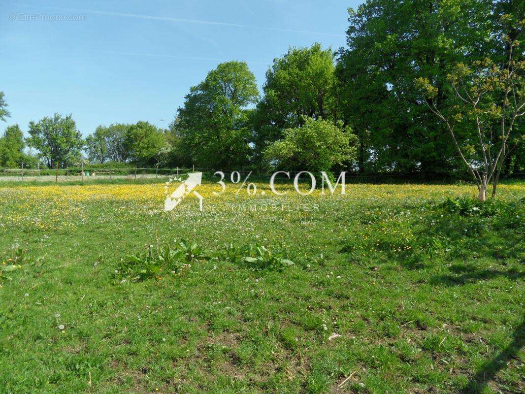 3%.com belle propriete sur 13306 m2 - photo 12