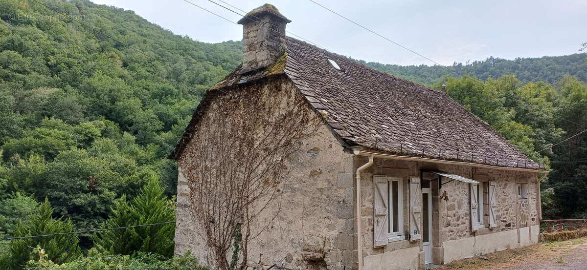 Maison en Pierre  ARGENTAT sur Dordogne - photo 2
