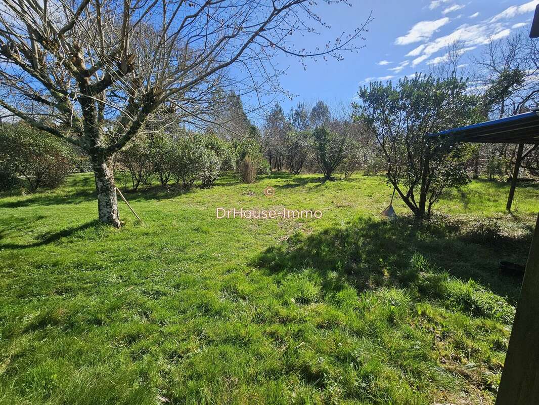 Terrain 3 937 m² à vendre à Gastes (40160) - photo 4