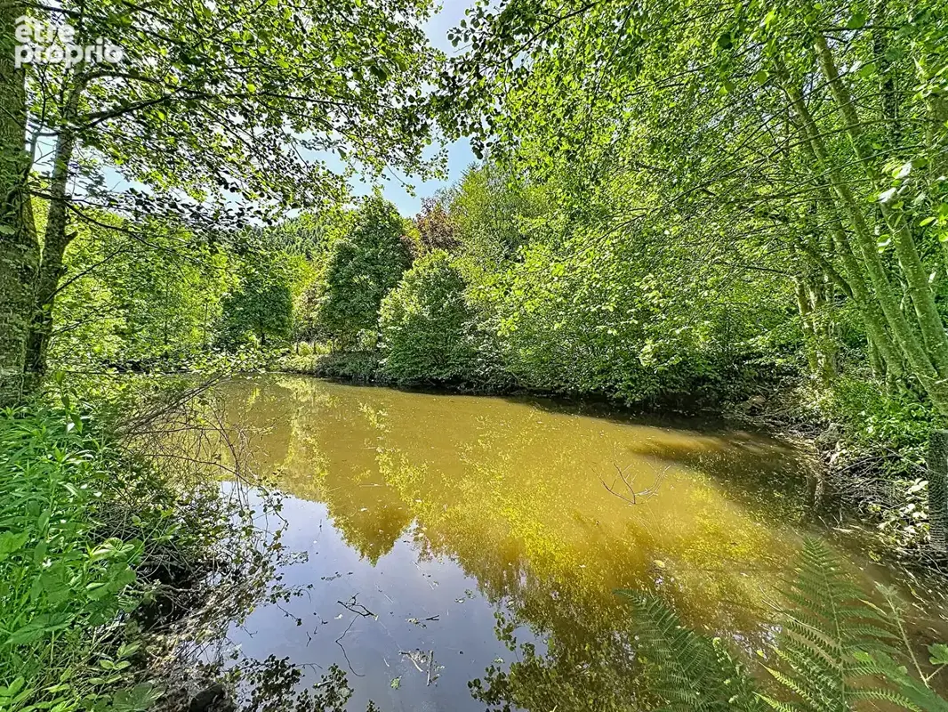 Espace de loisirs à Allarmont - photo 4
