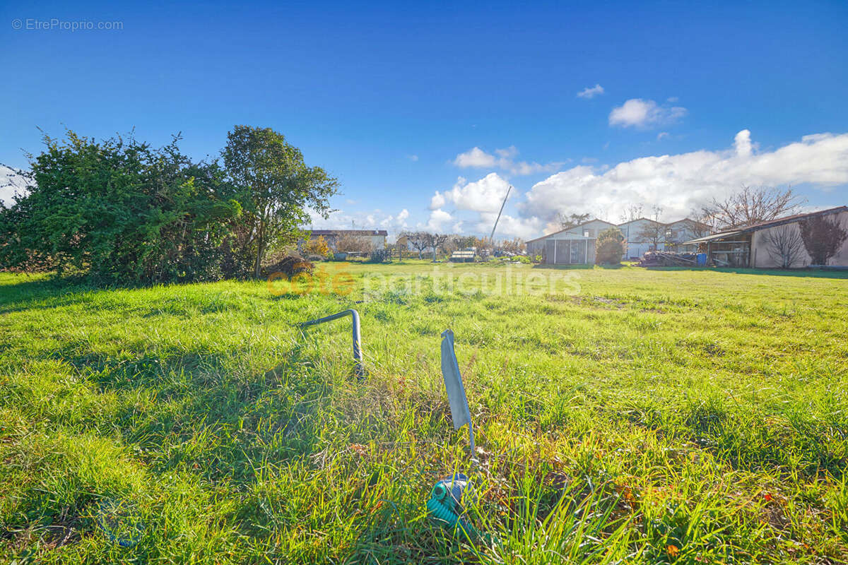 Terrain à COUFOULEUX