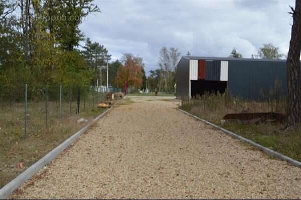 Appartement à VIERZON