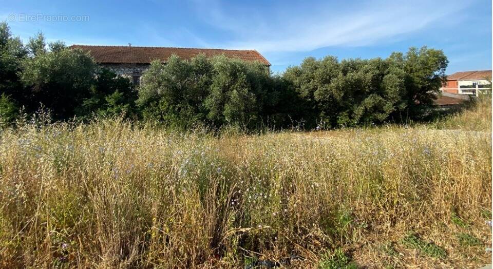 Terrain à PLAN-DE-CUQUES