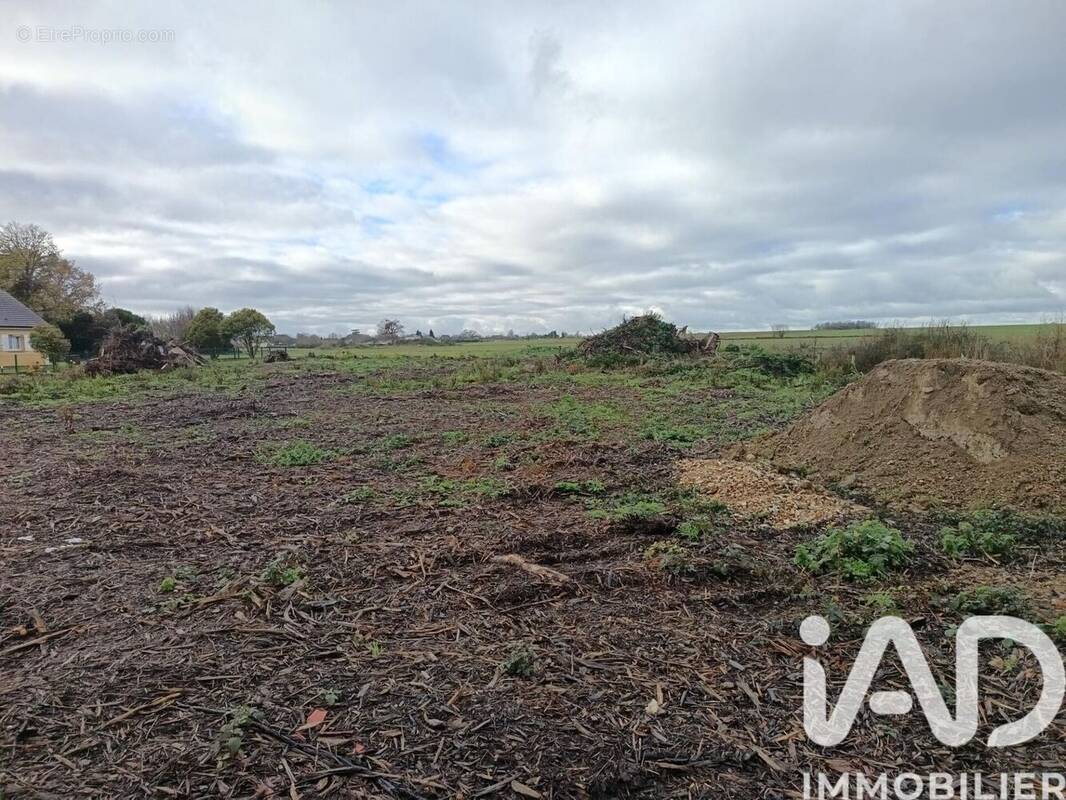 Photo 1 - Terrain à ECAUVILLE